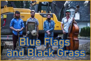 Saturday 13th. Blue Flags and Black Grass 7-9pm Americana Roots