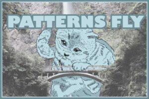 Friday 16th.

Patterns Fly   7-9pm

Psychedelic Groove Music featuring Galen Clark, Andy Coe and D'Vonne Lewis